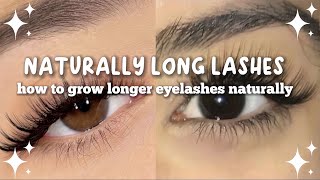 how to grow longer eyelashes naturally 🌷✨ [upl. by Candace]