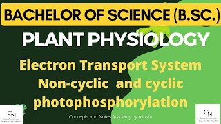 Cyclic and non cyclic photophosphorylation  Academy by Ayushi  For BSc students  Notes [upl. by Jamima]