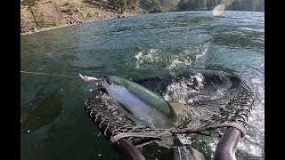 Kokanee Fishing in Okanogan Valley [upl. by Llessur991]