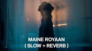 Maine Rooyan  Slow  Reverb   Tanveer Evan  DS ABHISHEK [upl. by Ennovi]