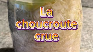 La choucroute crue d’après Révolution Fermentation [upl. by Hugibert470]