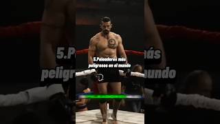 Para ti ¿cuál es el más peligroso🤔 Suscribanse para más contenido artesmarciales mma fypシ゚viral [upl. by Rriocard]