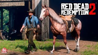 RED DEAD REDEMPTION 2  ENCONTREI ALGO REALMENTE INCRÍVEL [upl. by Oba713]