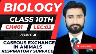 Gaseous exchange in animals  Properties of respiratory surface  Biology 10  lecture in Sindhi [upl. by Stubbs985]