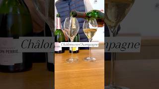 DELICIOUS 🍾 Champagne tasting anyone champagne champagnetasting francechampagne [upl. by Sukram]