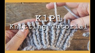 K1P1 Rib Stitch for Beginners  Flat Knitting K1 P1  Rib Stitch for Hats and Scarves [upl. by Gaul]