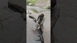 Amazing Sinkhole theres a lot of Fish under amazing fishing shorts [upl. by Miah321]