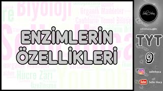 7 Enzimlerin Özellikleri [upl. by Leiram]