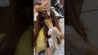 Beautiful Hair Highlights hair haircolor youtubeshorts shorts trending viralvideo [upl. by Laina669]