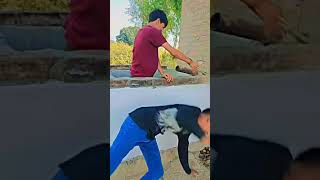 Dhananjay star comedy trending funny viralvideo [upl. by Kwan590]