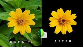 How to make background black in snapseed  how to black background in photo [upl. by Norry]