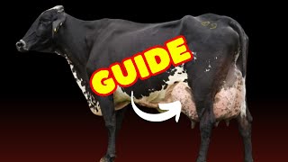 Girolando Cattle The Ultimate Guide [upl. by Anierdna]