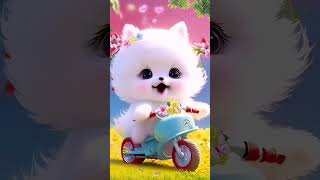 Cat billi dance video🐈 catvideos cat catfunny catdance catdancevideo shortfeed channelpage 🐱🐈 [upl. by Anam]