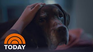 Watch Farmer’s Dog pulls at heart strings in Super Bowl ad [upl. by Tanitansy687]