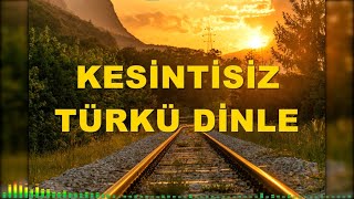 KESİNTİSİZ TÜRKÜ DİNLE  TÜRK HALK MÜZİĞİ türküler [upl. by Ahsiner]