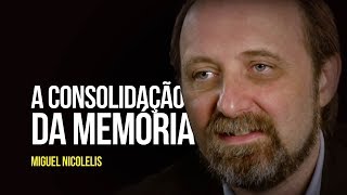 Miguel Nicolelis  A consolidação da memória [upl. by Okime7]