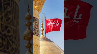 moharram status special whatsapp story hussaini video youtubeshorts trending [upl. by Airet168]