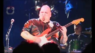 Popa Chubby  I Cant See the Light of Day Live [upl. by Morrie]