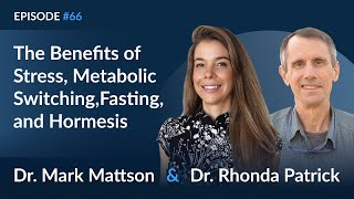 Dr Mark Mattson on the Benefits of Stress Metabolic Switching Fasting and Hormesis [upl. by Aisak]