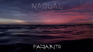 Nagual  Pajarito Video Lyric [upl. by Cleres]