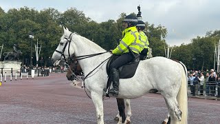 Everything I was able to record at Buckingham Palace during the Changing of the Guards [upl. by Aridatha689]