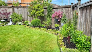 Garden Tour Back Yard 4K  May 15 2024 [upl. by Nerrual]