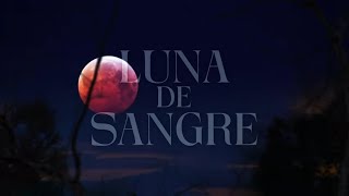 Mägo de Oz  Luna de sangre Lyric Video Oficial [upl. by Rask]