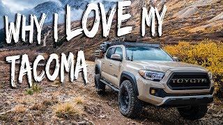 Is a TACOMA Right for YOU [upl. by Eidnil161]