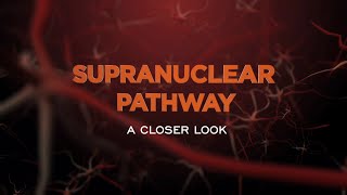 Supranuclear pathway A Closer Look  ASCRS Film Festival 2020  Dr Ashvin Agarwal [upl. by Shawnee]