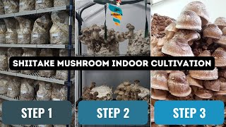 Shiitake Mushroom indoor Cultivation at home  Commercial Farming amp marketing of Lentinus edodes [upl. by Bartel]