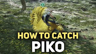 FF7 Rebirth  How To Catch Piko The Chocobo [upl. by Utimer]