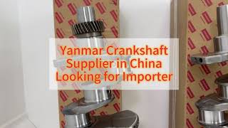 Explore Original Yanmar Crankshafts for All Equipment Types [upl. by Ltsyrk]