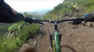 Test Norco Sight Carbon 72 2D [upl. by Nivac]