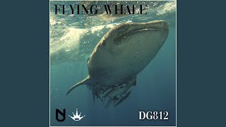 Flying Whale [upl. by Hafeetal]