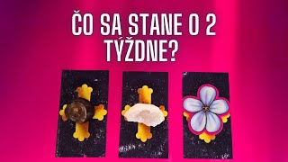 ✧˖°ČO SA STANE O 2 TÝŽDNE VÝKLAD KARIET✧˖° [upl. by Eseilanna]