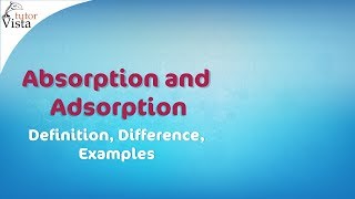 Absorption and Adsorption  Definition Difference Examples [upl. by Nwahsear]