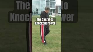 The Secret to Knockout Power [upl. by Hannaj775]