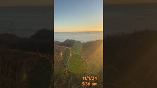 delmar beach cacti torreypines [upl. by Farrow979]