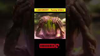 I am Groot Movie Funny Clips groot shorts shortsfeeds marvel [upl. by Pirnot299]