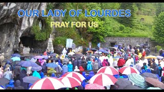 Lourdes Holy Mass with diocese of Middlesbrough 🇬🇧 [upl. by Argella]