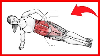 Cuales y cuantos músculos se usan en las planchas Pronas y laterales incluye método [upl. by Zobkiw]