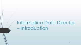 Informatica Data Director  Detailed view of History and Match section in IDD [upl. by Nymrak]