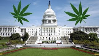 Politicians Use False Stats To Keep Marijuana Illegal [upl. by Etnovahs928]