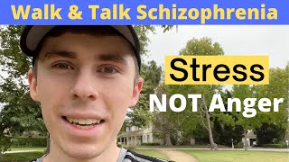 Schizophrenia Stress Is Not Anger [upl. by Orabelle]