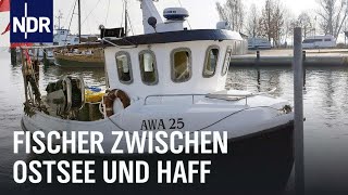 Zwischen Ostsee und Haff  Vom Überlebenskampf der letzten Fischer  Die Nordreportage  NDR [upl. by Cuda]