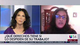 ¿A qué recursos puedes acudir si te despiden del trabajo Abogada explica los casos y excepciones [upl. by Bernadette]