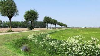 Weerbericht zondag Droog en zonnig [upl. by Mcgill]