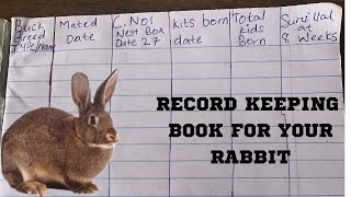 Rabbits farming  how to make a record keeping book for your rabbit [upl. by Innoj]