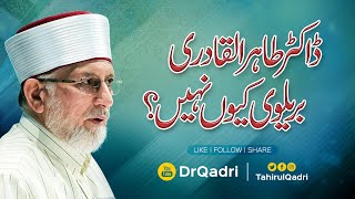 Haleema main tereTahir ul Qadri sahab in wajd while listeningflv [upl. by Harak521]