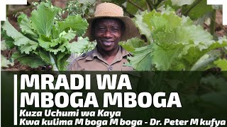 MRADI WA MBOGA MBOGAKUZA UCHUMI WA KAYA KWA KULIMA MBOGA MBOGADR PETER MKUFYA [upl. by Assenad]